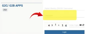 Password Entry Box in Rajasthan SSO Login Window